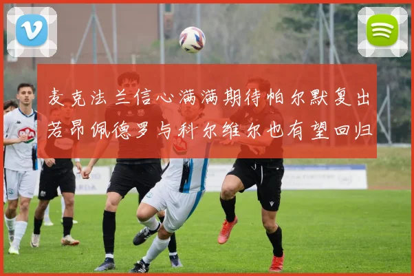 麦克法兰信心满满期待帕尔默复出若昂佩德罗与科尔维尔也有望回归